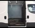 Iveco Daily 35 S14 A8 V LH3 3520 E6 Blanc - thumbnail 23