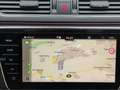 Skoda Superb Combi Premium Edition TDI*360°Ka Panodach Grau - thumbnail 12
