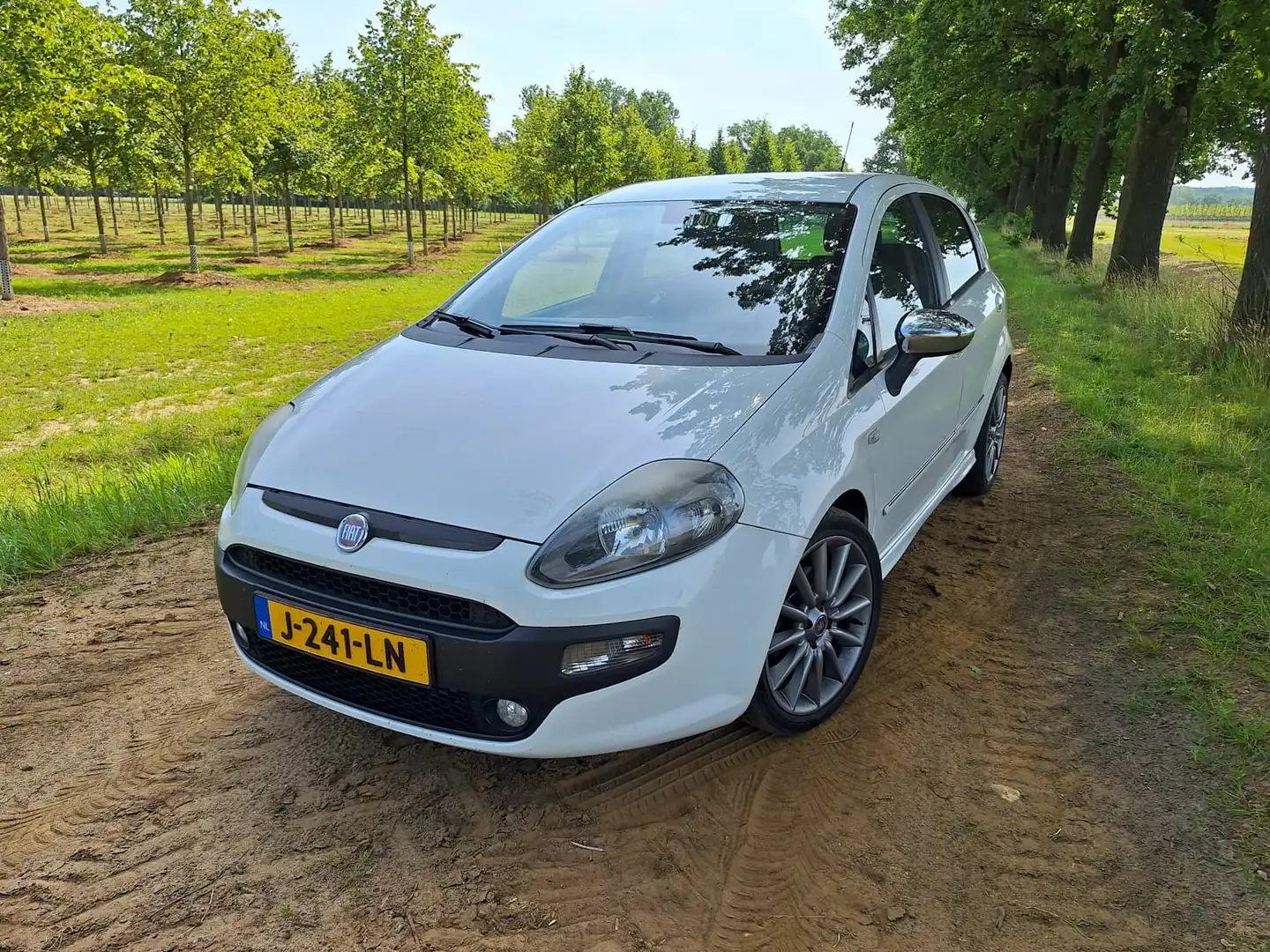 Fiat Punto Punto 1.4-16V m-air Sport - 1