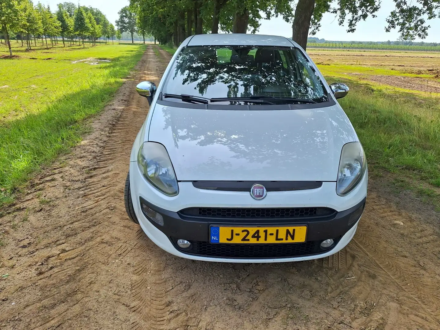 Fiat Punto Punto 1.4-16V m-air Sport - 2
