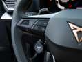 CUPRA Formentor 2.0 TSI DSG VZ 4Drive AHK/Akrapovic Grau - thumbnail 15