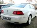 Volkswagen Phaeton V6 TDI -Individual W12 Optik ab Werk -Dynaudio Weiß - thumbnail 6