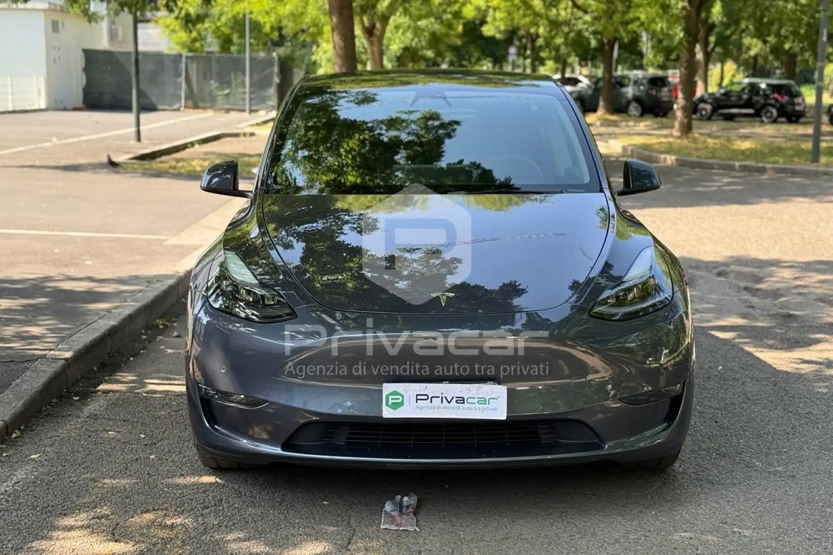 Tesla Model Y Model Y Long Range AWD Argento - 2