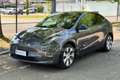 Tesla Model Y Model Y Long Range AWD Argento - thumbnail 1