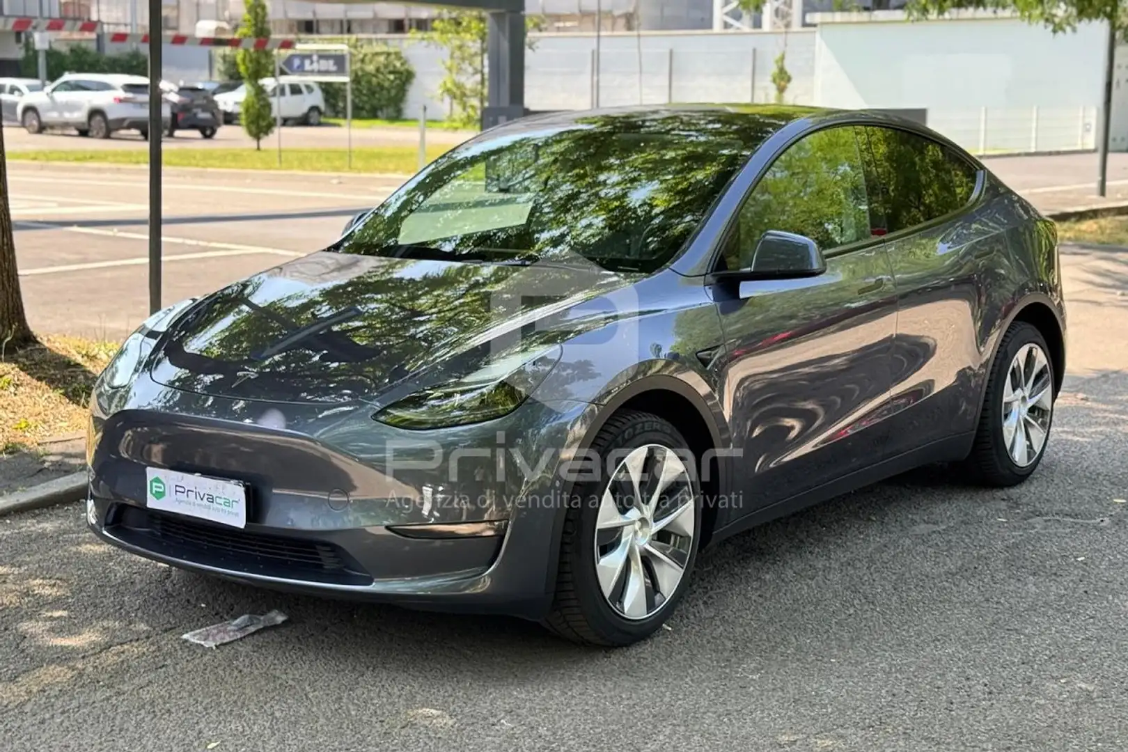 Tesla Model Y Model Y Long Range AWD Argento - 1