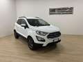 Ford EcoSport EcoSport 1.0 ecoboost 125cv Blanc - thumbnail 1