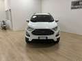 Ford EcoSport EcoSport 1.0 ecoboost 125cv Blanc - thumbnail 4