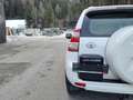 Toyota Land Cruiser Landcruiser 2,8 D-4D 4WD City Weiß - thumbnail 5