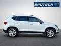 SEAT Ateca 1.5 TSI Xperience DSG / ACC / AHK / LED / NAVI / K Weiß - thumbnail 8