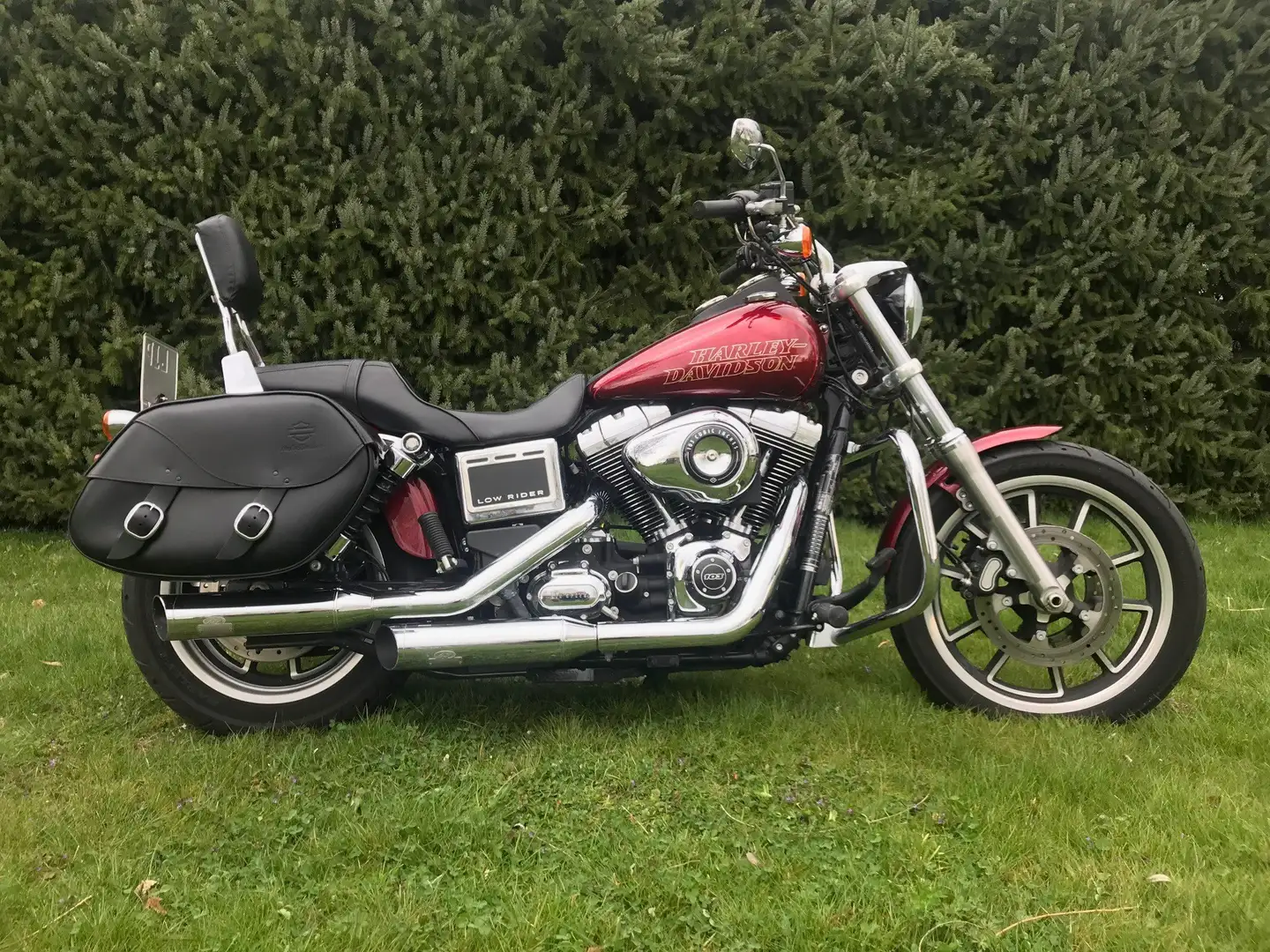 Harley-Davidson Dyna Low Rider Rot - 1