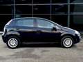 Fiat Punto Evo 1.2 BENZ 65 CV Dynamic OK NEOPATENTATI Blu/Azzurro - thumbnail 5