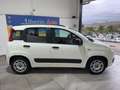 Fiat Panda 1.2 Lounge Blanc - thumbnail 4