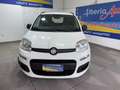 Fiat Panda 1.2 Lounge Blanc - thumbnail 2