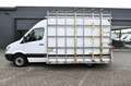 Mercedes-Benz Sprinter 313 CDI Kasten Glasreff L2H2 RWD Glass Wit - thumbnail 9