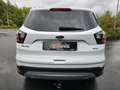 Ford Kuga Cool & Connect LED Navi Kamera Blanco - thumbnail 5