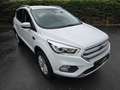 Ford Kuga Cool & Connect LED Navi Kamera Blanco - thumbnail 18