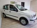 Fiat Panda Panda 1.2 Classic Bianco - thumbnail 3