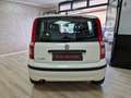 Fiat Panda Panda 1.2 Classic Bianco - thumbnail 13