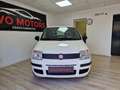 Fiat Panda Panda 1.2 Classic Bianco - thumbnail 6