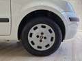 Fiat Panda Panda 1.2 Classic Bianco - thumbnail 8