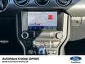 Ford Mustang Convertible GT 5.0 V8 Automatik MagneRide Burdeos - thumbnail 9