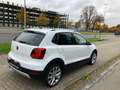 Volkswagen Polo Cross CrossPolo BlueMotion Technology/Navi-Chrom-Paket Weiß - thumbnail 5