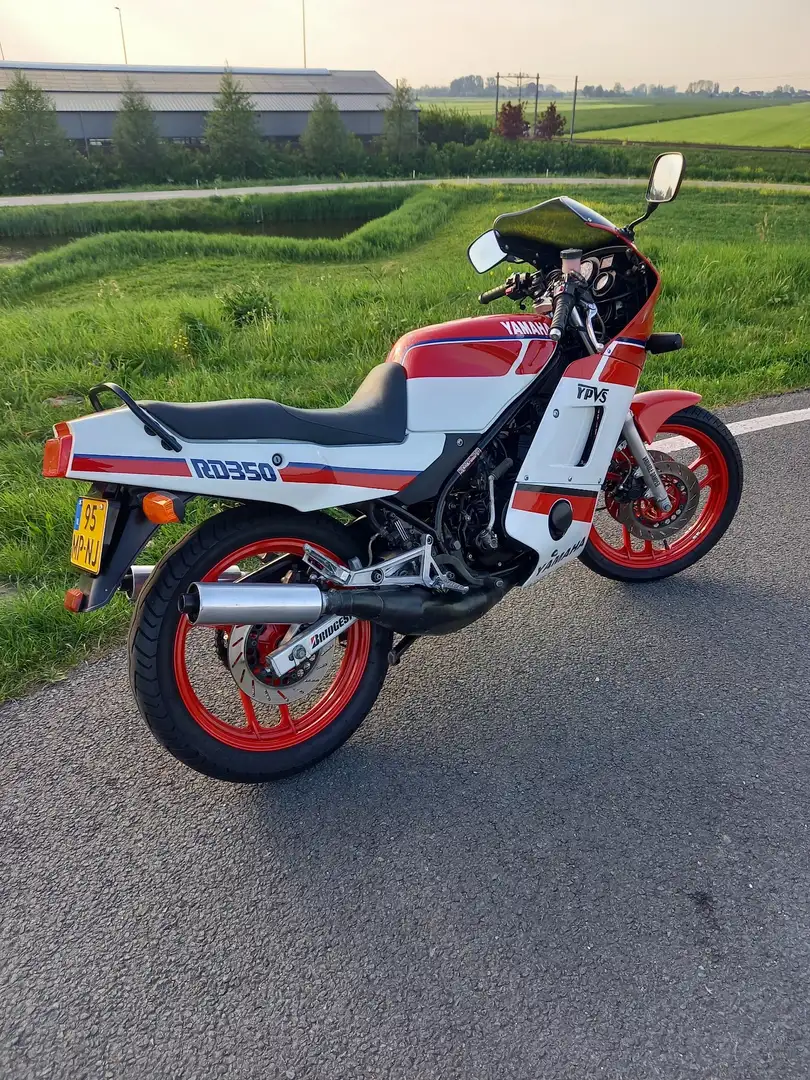 Yamaha RD 350 Rouge - 1