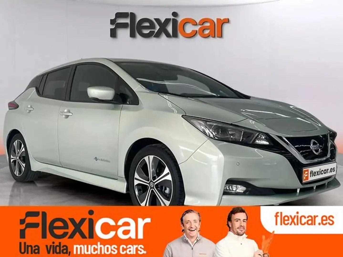 Nissan Leaf 40kWh N-Connecta Bitono Beige - 1