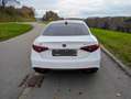 Alfa Romeo Giulia Giulia 2.0 Turbo 16V AT8-Q4Veloce Weiß - thumbnail 4