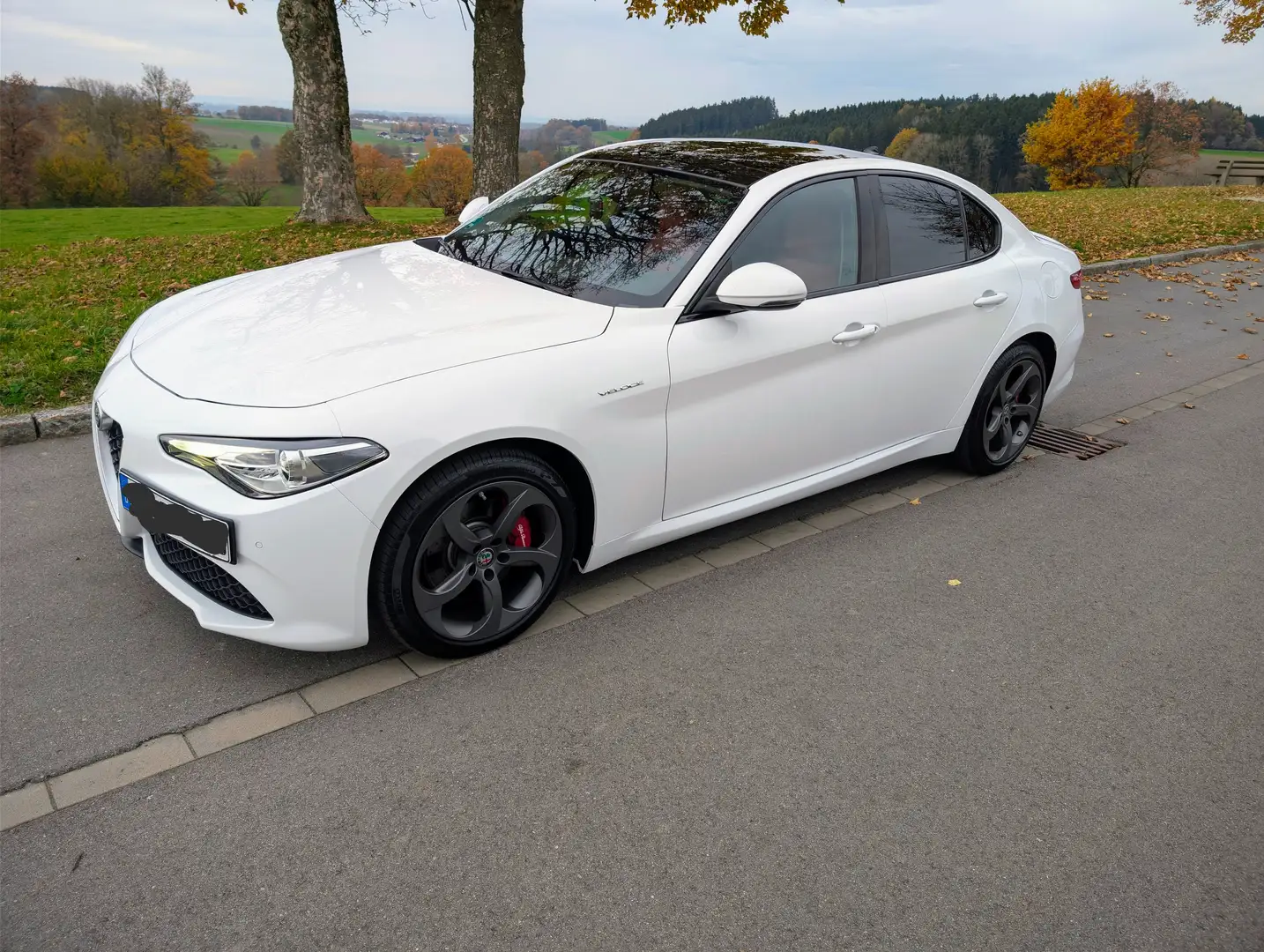 Alfa Romeo Giulia Giulia 2.0 Turbo 16V AT8-Q4Veloce Weiß - 1