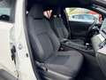 Toyota Dyna 122H DYNAMIC BUSINESS 2WD E-CVT + PROGRAMME BEYOND ZERO ACADEMY MY20 Blanc - thumbnail 5