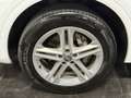 Audi Q5 35 TDI Quattro Sport S-Line Blanc - thumbnail 19