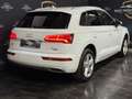 Audi Q5 35 TDI Quattro Sport S-Line Blanc - thumbnail 10