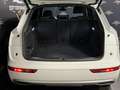 Audi Q5 35 TDI Quattro Sport S-Line Blanc - thumbnail 49