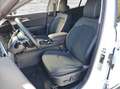 Kia Sportage 1,6 TGDI 48V Gold DCT Weiß - thumbnail 7