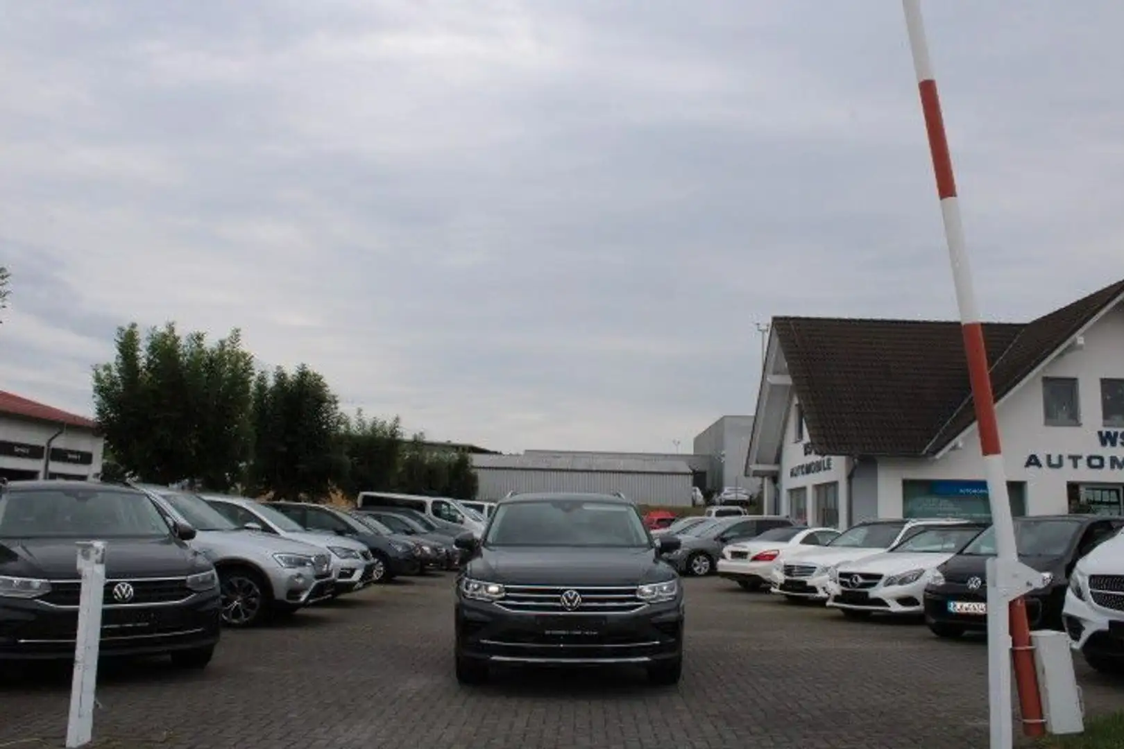 Volkswagen Tiguan Elegance 4Motion,DSG,Navi,LED,Standh,Lede Grau - 2