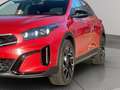 Kia XCeed Platinum 1,5 Edition AUTOM. PANOR. KIA-GAR Rot - thumbnail 4