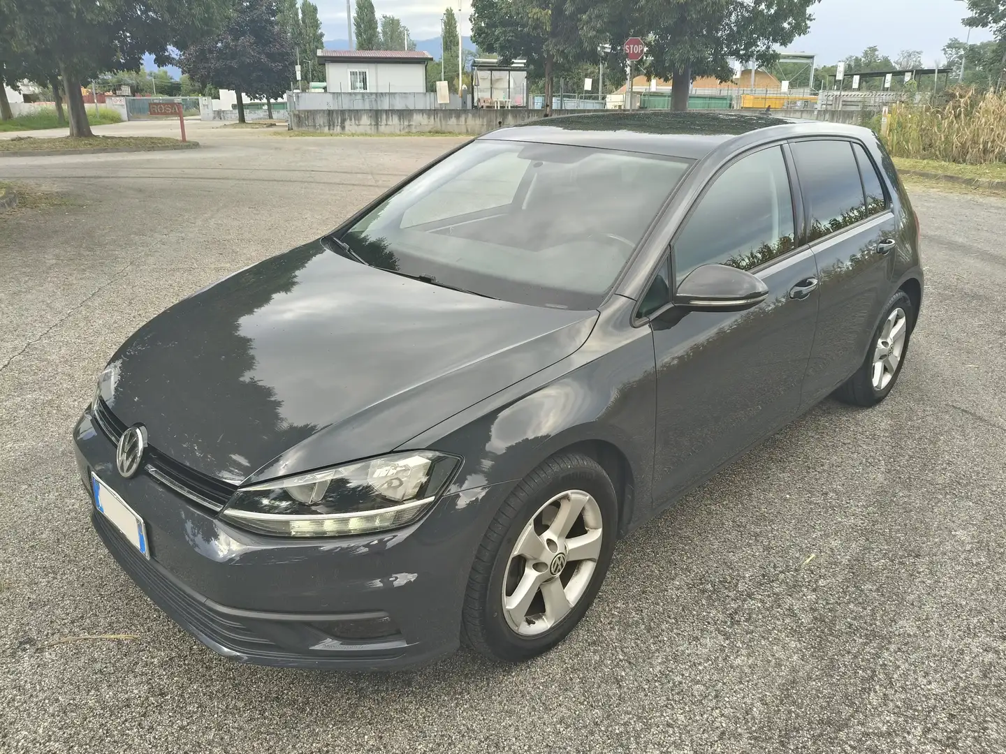 Volkswagen Golf Golf VII 2019 5p 1.6 tdi 115cv WRC AUTO SRL Gris - 2