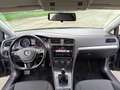 Volkswagen Golf Golf VII 2019 5p 1.6 tdi 115cv WRC AUTO SRL Gris - thumbnail 15