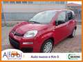 Fiat Panda 1.0 FireFly 70CV Hybrid Panda Blu/Azzurro - thumbnail 11