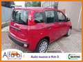 Fiat Panda 1.0 FireFly 70CV Hybrid Panda Blu/Azzurro - thumbnail 14