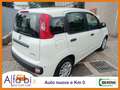 Fiat Panda 1.0 FireFly 70CV Hybrid Panda Blu/Azzurro - thumbnail 9