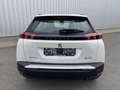 Peugeot 2008 II Allure Blanc - thumbnail 7