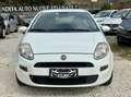 Fiat Punto 3p 1.2 Virgin Radio Bianco - thumbnail 2