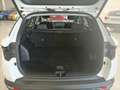 Hyundai TUCSON 1.6 TGDI 48V Tecno 2C 4x2 DT - thumbnail 7