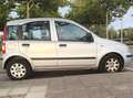 Fiat Panda Panda 1.2 Edizione Cool Gris - thumbnail 2