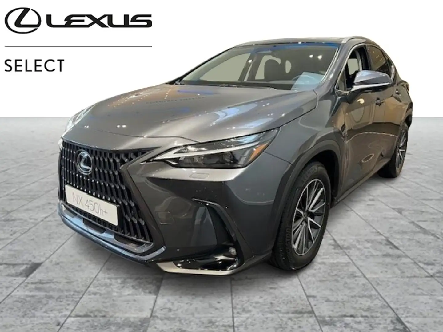 Lexus NX 450h+ Executive Line Grau - 1