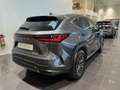 Lexus NX 450h+ Executive Line Grau - thumbnail 3
