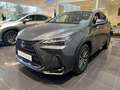 Lexus NX 450h+ Executive Line Grau - thumbnail 9