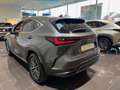 Lexus NX 450h+ Executive Line Grau - thumbnail 4